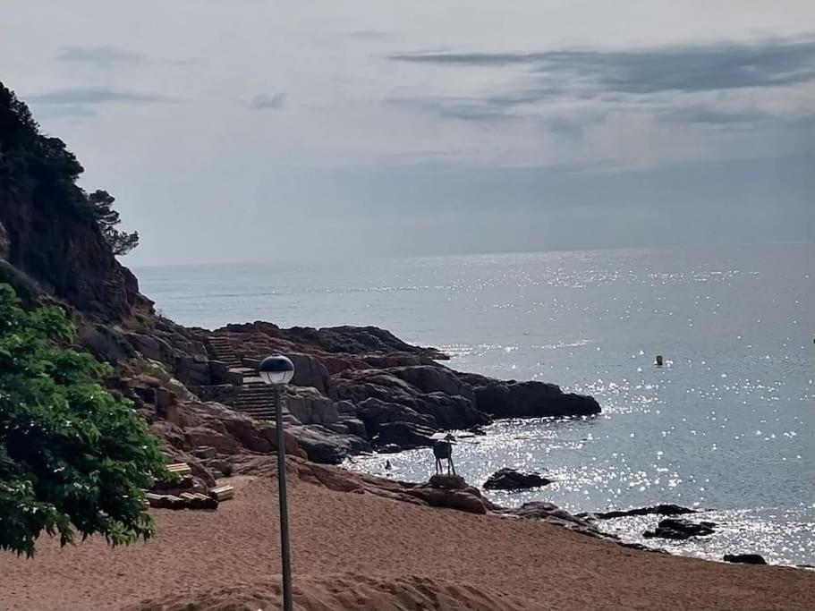 Апартаменты Cala Salions Balandro II Tossa De Mar Кане-де-Мар Экстерьер фото