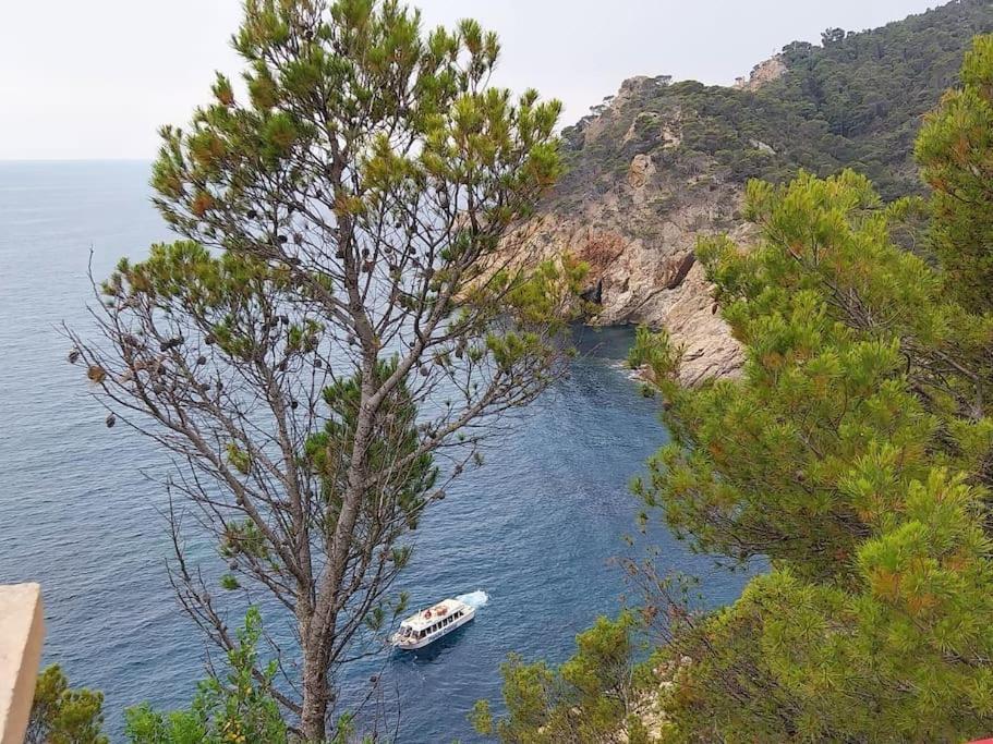 Апартаменты Cala Salions Balandro II Tossa De Mar Кане-де-Мар Экстерьер фото