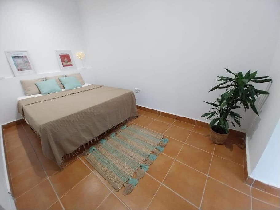 Апартаменты Cala Salions Balandro II Tossa De Mar Кане-де-Мар Экстерьер фото