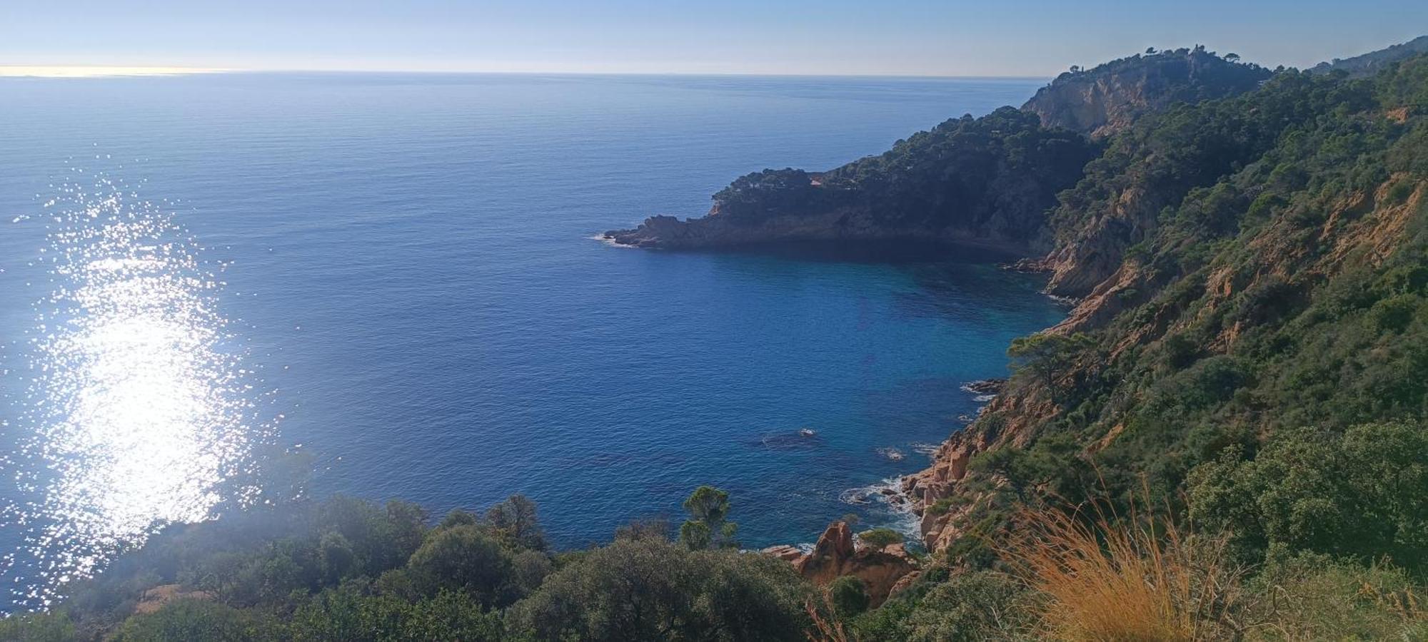 Апартаменты Cala Salions Balandro II Tossa De Mar Кане-де-Мар Экстерьер фото